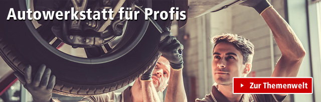 Autowerkstatt für Profis