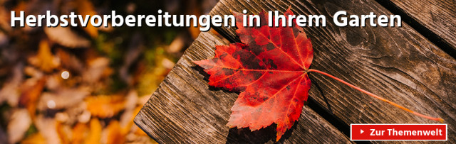 Herbstvorbereitungen<br/>in Ihrem Garten