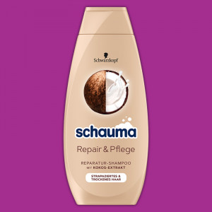 /ext/img/product/angebote/24_08_12/500_shampoo_1.jpg