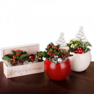 /ext/img/product/angebote/24_12_11/100_weihnachtliches-arrangement_wo_1.jpg