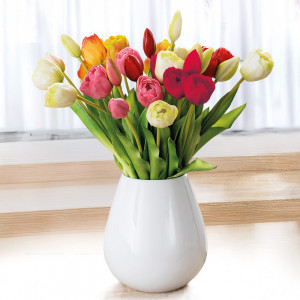 /ext/img/product/angebote/25_01_15/400_deko-tulpen_1.jpg