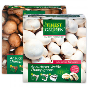 /ext/img/product/angebote/25_01_22/100_champignon_anzuchtset_wo_1.jpg