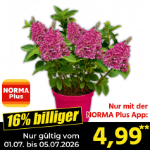 Nur gültig vom 01.07. bis 05.07.2026 und nur mit der NORMA Pluss App 16% billiger: 4,99