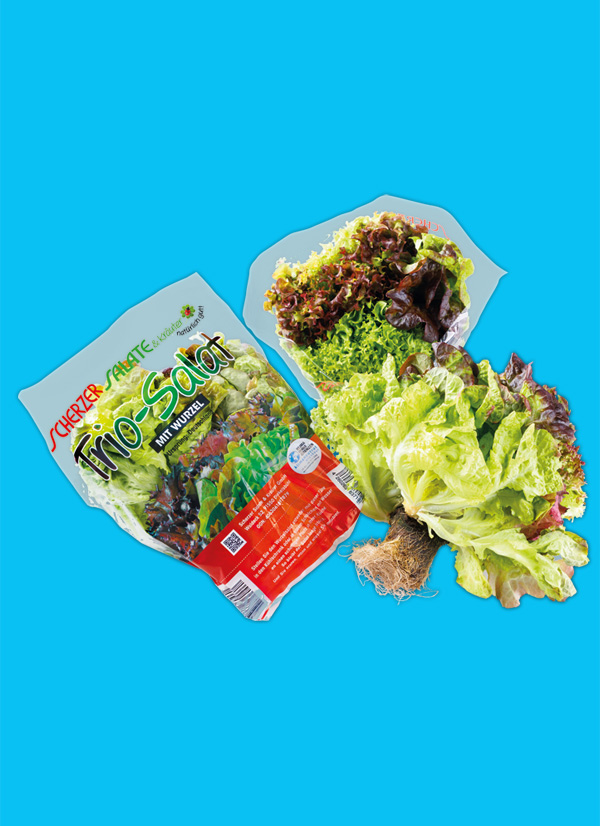 /ext/img/product/obst-und-gemuese/24_03_11/1400_trio-salate_1.jpg