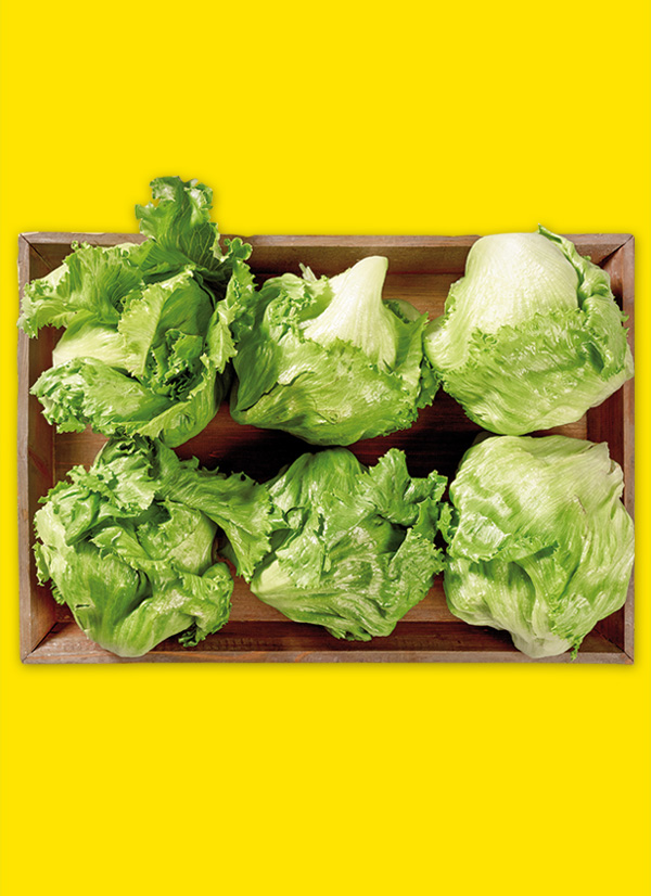 /ext/img/product/obst-und-gemuese/24_09_30/1600_eisbergsalat_1.jpg