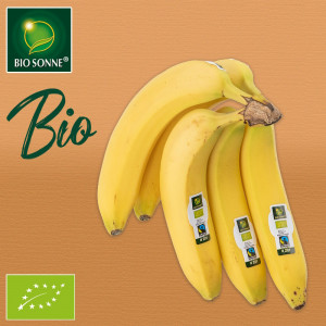 NORMA - Ihr Lebensmittel-Discounter | Sortiment | lose Bio-Fairtrade SONNE | BIO Bananen